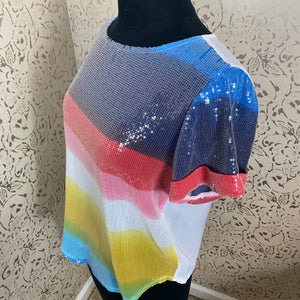 Clear Sequins Overlay Top w/Rainbow Colors: Size L (Fixer Upper/Imperfect)